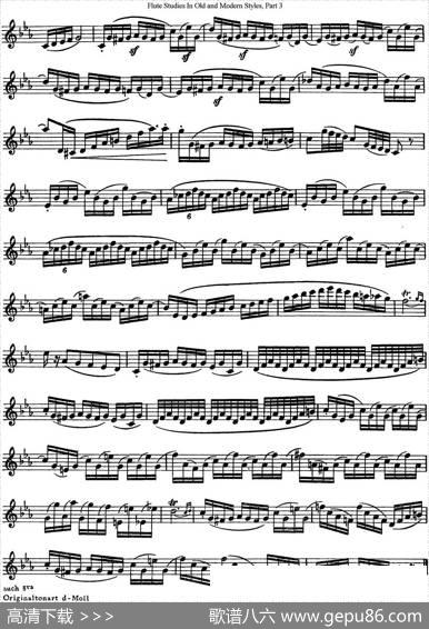 斯勒新老风格长笛练习重奏曲（第三部分）（NO.36-NO.37）|SiegfriedThieleS.(斯勒)