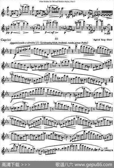 斯勒新老风格长笛练习重奏曲（第三部分）（NO.38-NO.40）|SiegfriedThieleS.(斯勒)