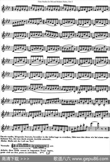 斯勒新老风格长笛练习重奏曲（第三部分）（NO.41）|SiegfriedThieleS.(斯勒)