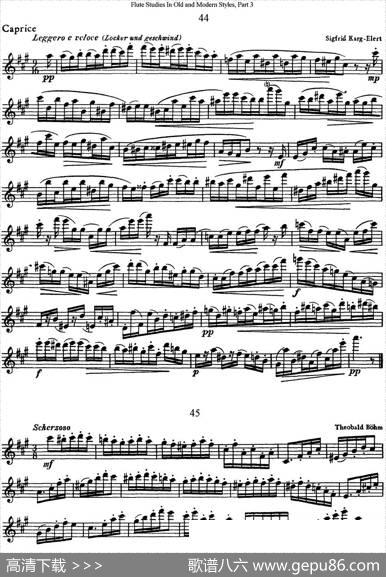 斯勒新老风格长笛练习重奏曲（第三部分）（NO.44-NO.45）|SiegfriedThieleS.(斯勒)