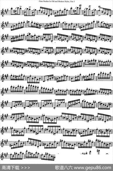 斯勒新老风格长笛练习重奏曲（第三部分）（NO.44-NO.45）|SiegfriedThieleS.(斯勒)