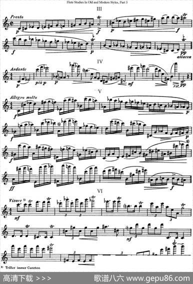 斯勒新老风格长笛练习重奏曲（第三部分）（NO.46）|SiegfriedThieleS.(斯勒)