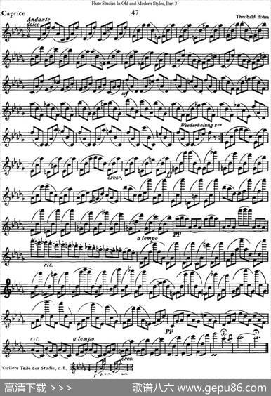 斯勒新老风格长笛练习重奏曲（第三部分）（NO.47）|SiegfriedThieleS.(斯勒)