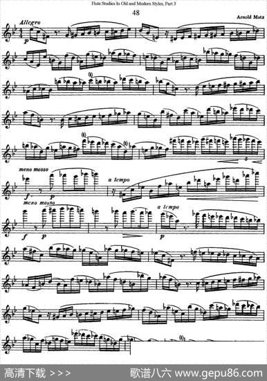 斯勒新老风格长笛练习重奏曲（第三部分）（NO.48）|SiegfriedThieleS.(斯勒)