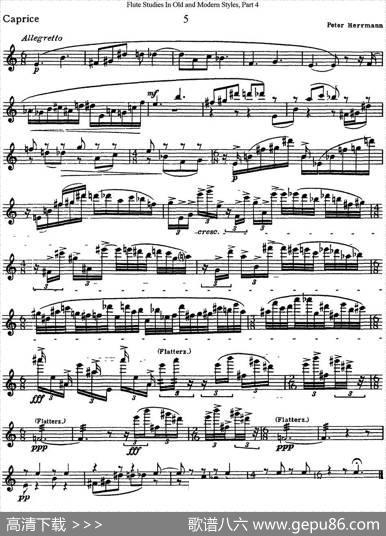 斯勒新老风格长笛练习重奏曲（第四部分）（NO.5）|SiegfriedThieleS.(斯勒)