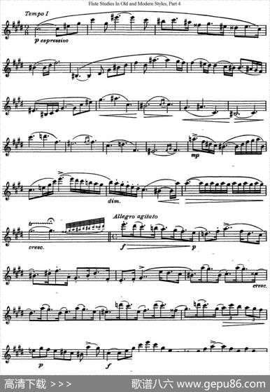 斯勒新老风格长笛练习重奏曲（第四部分）（NO.8）|SiegfriedThieleS.(斯勒)