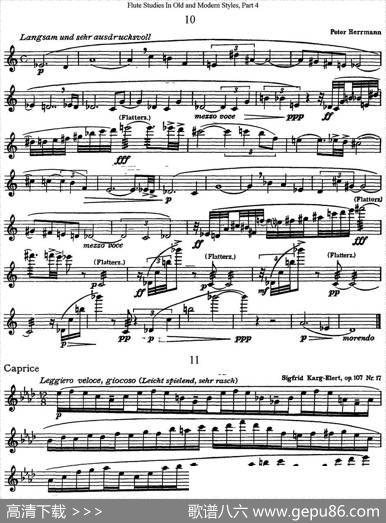 斯勒新老风格长笛练习重奏曲（第四部分）（NO.10-NO.11）|SiegfriedThieleS.(斯勒)