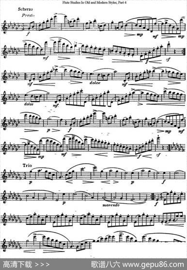 斯勒新老风格长笛练习重奏曲（第四部分）（NO.13）|SiegfriedThieleS.(斯勒)