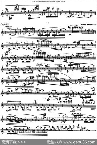 斯勒新老风格长笛练习重奏曲（第四部分）（NO.14-NO.15）|SiegfriedThieleS.(斯勒)