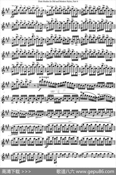 斯勒新老风格长笛练习重奏曲（第四部分）（NO.17-NO.18）|SiegfriedThieleS.(斯勒)