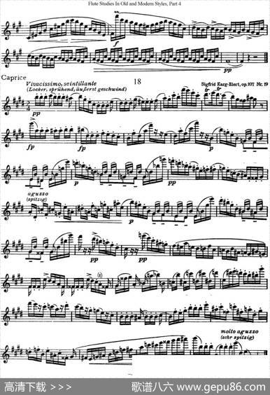 斯勒新老风格长笛练习重奏曲（第四部分）（NO.17-NO.18）|SiegfriedThieleS.(斯勒)
