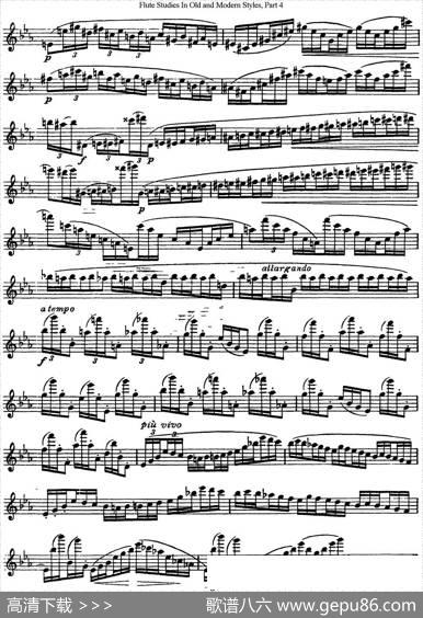 斯勒新老风格长笛练习重奏曲（第四部分）（NO.19）|SiegfriedThieleS.(斯勒)