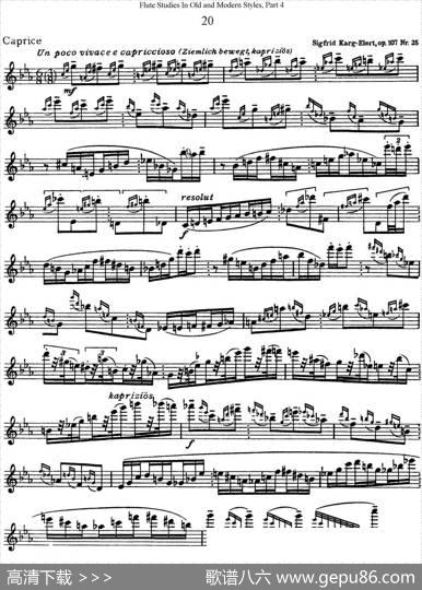 斯勒新老风格长笛练习重奏曲（第四部分）（NO.20）|SiegfriedThieleS.(斯勒)
