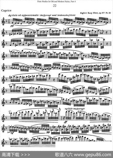 斯勒新老风格长笛练习重奏曲（第四部分）（NO.22）|SiegfriedThieleS.(斯勒)