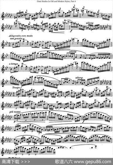 斯勒新老风格长笛练习重奏曲（第四部分）（NO.23）|SiegfriedThieleS.(斯勒)