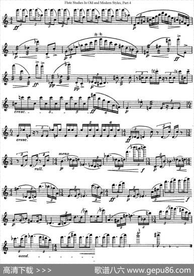 斯勒新老风格长笛练习重奏曲（第四部分）（NO.24）|SiegfriedThieleS.(斯勒)