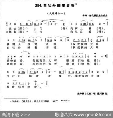 白牡丹睡着者哩