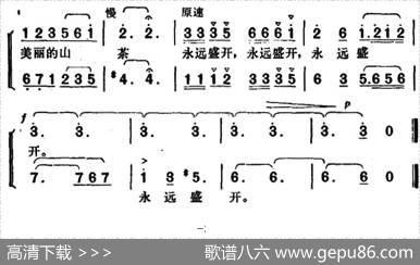 山茶花为英雄开 - 吴克鲁|胡俊成