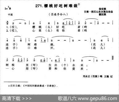 樱桃好吃树难栽