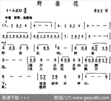 野姜花 - 李自卫|胡俊成