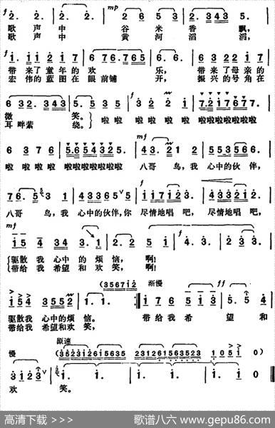 来自大陆的八哥鸟 - 王致铨、叶宏民|胡俊成