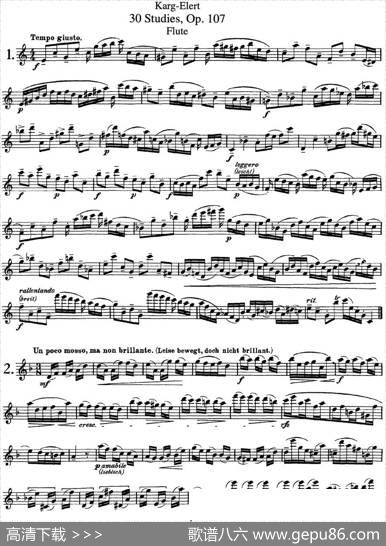 卡-伊勒特30首长笛练习曲Op.107（NO.1-NO.3）|Karg-Elert（卡-伊勒特）
