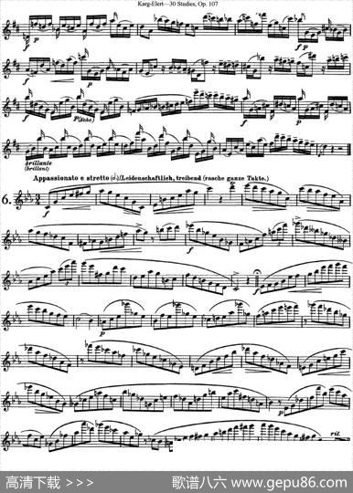 卡-伊勒特30首长笛练习曲Op.107（NO.4-NO.6）|Karg-Elert（卡-伊勒特）