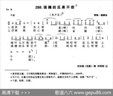 强摘的瓜果不甜