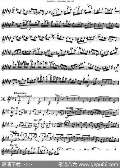 卡-伊勒特30首长笛练习曲Op.107（NO.28-NO.30）|Karg-Elert（卡-伊勒特）