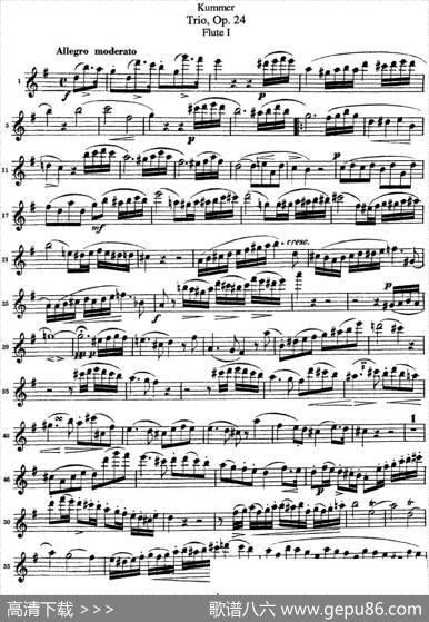 库默长笛三重奏Op.24（Flute1）|Kummer（库默）