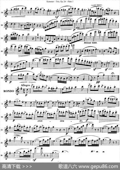 库默长笛三重奏Op.24（Flute1）|Kummer（库默）