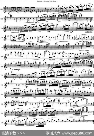 库默长笛三重奏Op.24（Flute1）|Kummer（库默）