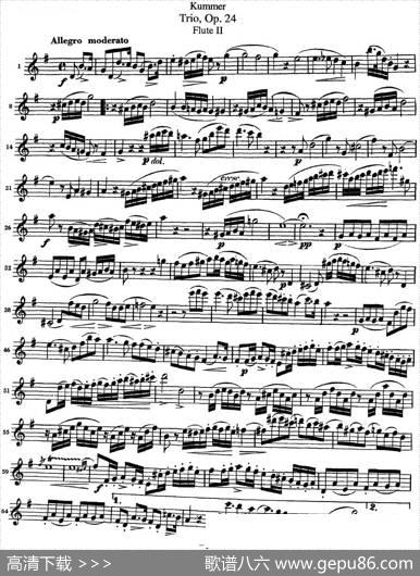 库默长笛三重奏Op.24（Flute2）|Kummer（库默）