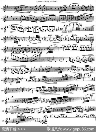 库默长笛三重奏Op.24（Flute2）|Kummer（库默）
