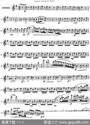 库默长笛三重奏Op.24（Flute2）|Kummer（库默）