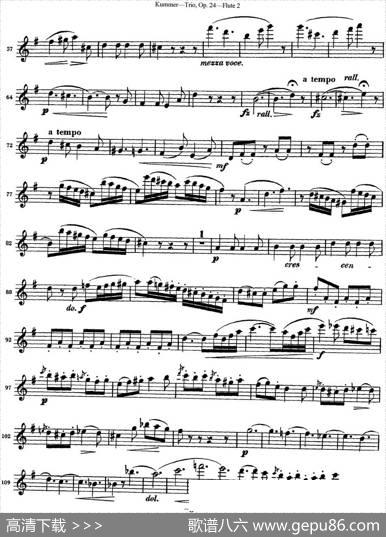 库默长笛三重奏Op.24（Flute2）|Kummer（库默）