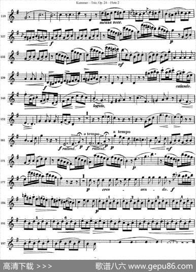 库默长笛三重奏Op.24（Flute2）|Kummer（库默）