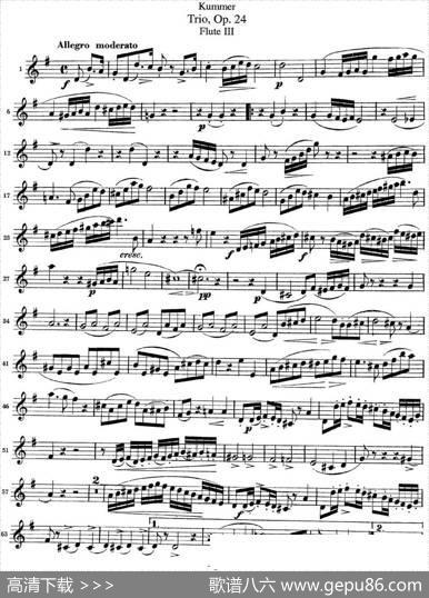库默长笛三重奏Op.24（Flute3）|Kummer（库默）
