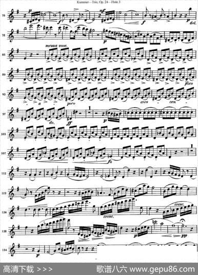 库默长笛三重奏Op.24（Flute3）|Kummer（库默）