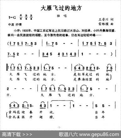 大雁飞过的地方 - 王晋川|雷维模