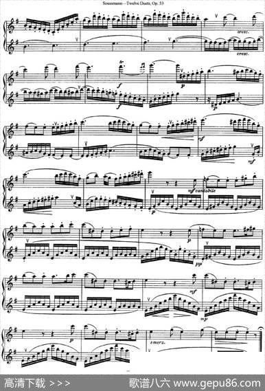 苏斯曼12首长笛重奏曲Op.53（NO.5）|Soussmann（苏斯曼）