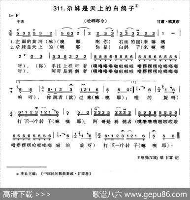 尕妹是天上的白鸽子