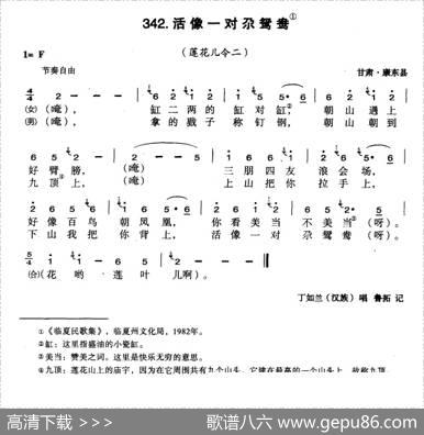 活像一对尕鸳鸯