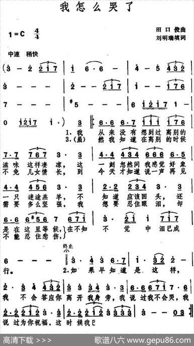 我怎么哭了（刘明瑞填词词田口俊曲） - 刘明瑞填词|田口俊