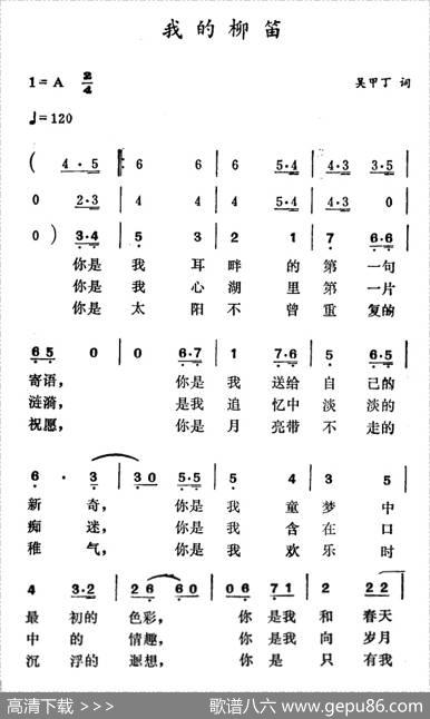 我的柳笛 - 吴甲丁|徐东蔚