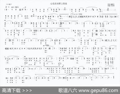 心花在田野上怒放 - 雍晓升|付先明