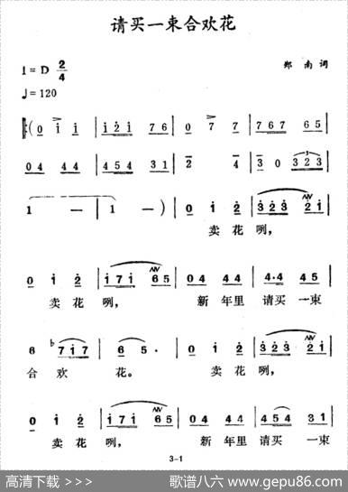 请买一束合欢花 - 郑南|徐东蔚