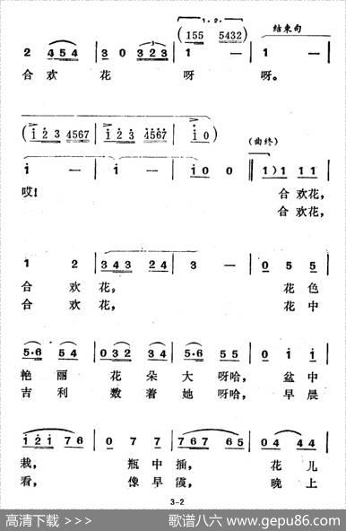 请买一束合欢花 - 郑南|徐东蔚