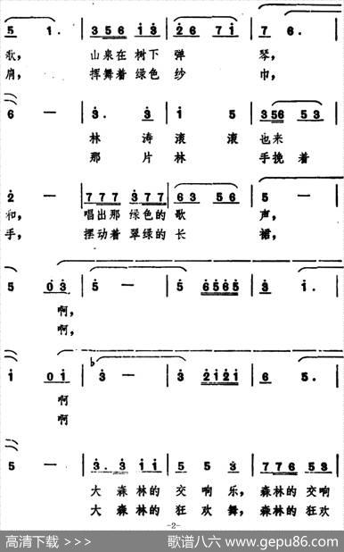 多美呀，大森林 - 卢云生|史宗毅