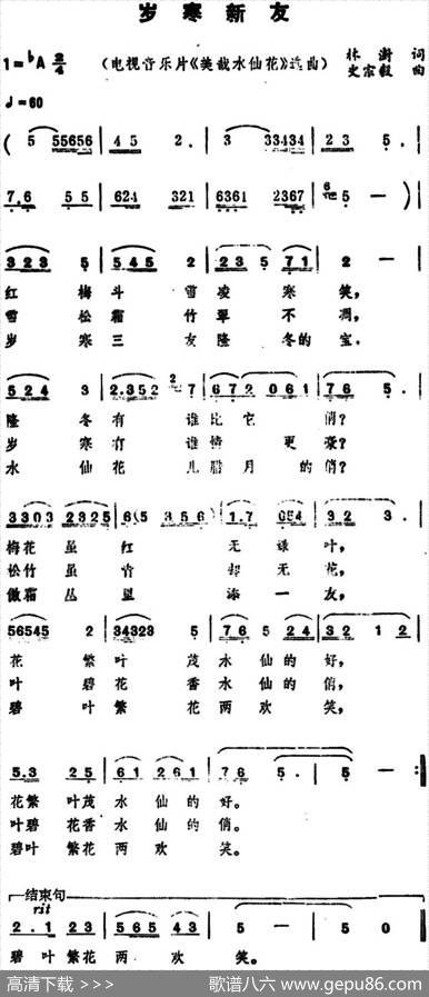 岁寒新友（电视音乐片《美哉水仙花》选曲） - 林澍|史宗毅